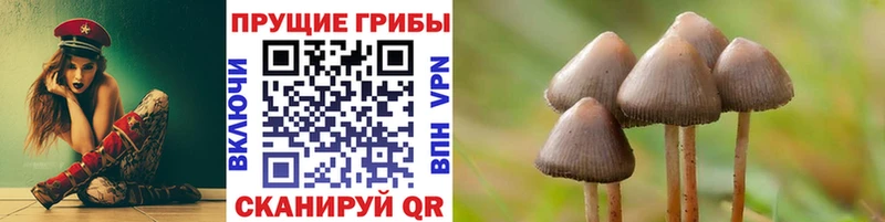 Псилоцибиновые грибы Magic Shrooms  Купить  Игарка 